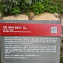 개목사 - 1680 | □천등산 개목사 기도후기 6/26