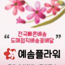 금성장례식장 이미지
