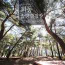 정선 국민여가캠핑장 이미지