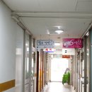 헬로멍멍 이미지