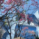 세계오지민속박물관 (베니스랜드) | 택시 Taxi ㅡ LA 한인택시 ㅡ 한국택시 ㅡ 공항택시 ㅡ LA 하나택시 🇰🇷