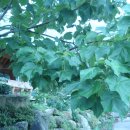 가례면사무소 이미지