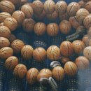 솔향공원 소나무전시관 이미지