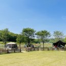 피플앤독힐링캠핑장 이미지