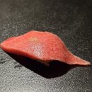 스시소월 | 서울 왕십리 맛집 내돈내산 가성비 오마카세 스시도쿠 겐 디너 후기