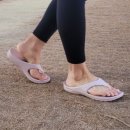 y동물병원 | B&amp;M 슈퍼 Y 슬리퍼, 달리기도 쌉가능한 슬리퍼가 있어요!