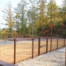 국립화천숲속야영장 이미지