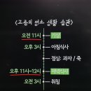 고종눈아랑 나랑 공통점 찾았잔아 이미지