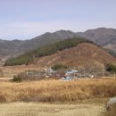 달전2 이미지