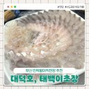 태백호 | 부산 민락활어직판장 태백이초장 그리고 대덕호 방문 후기