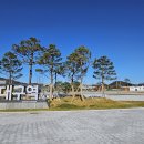 중앙광장 앞 이미지