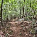 창락2리 이미지