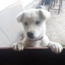 나랑놀개 이미지