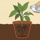 하늘뿌리한의원 이미지