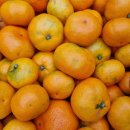 행복이농장 이미지