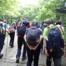 지장산 Daum카페