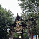 랜드서호 | 🦒 에버랜드 로스트밸리 후기｜12개월 아기와 함께한 비 오는 날 동물 탐험 🐘