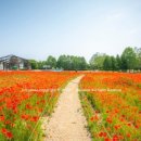 삼풍농장 이미지