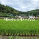 보성IC 이미지