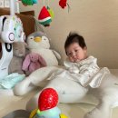 멍털연구소 | "그때 이걸 알았더라면" — 0~12개월 월령별 꿀템 타임라인 ① (ft. 3년차 엄마의 찐후기)