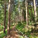 시골순대 - 증평군 장뜰로 37 | 시골순대