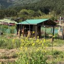 묵지농장 이미지