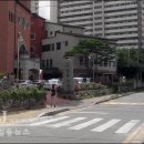 구청 앞 횡단보도 이미지