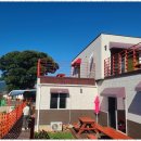 오렌지 민박 이미지