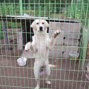 이뿐이 민박 이미지