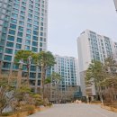 3단지 병원상가 | 개포래미안포레스트 임장 후기 26평 시세 흐름 및 단지 내부 분석