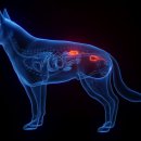 힐 동물병원 이미지