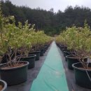 노을지는농장 이미지