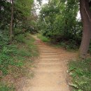 도덕산캠핑장 이미지