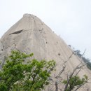 비둘기길 이미지