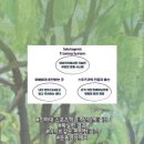 와이키키 트레이닝클럽 네이버블로그