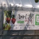 동막2농장 이미지