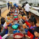 월촌농장 이미지