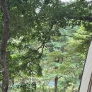 유명산258 이미지