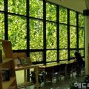 탐라커텐 이미지