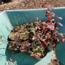 참살이농장 이미지