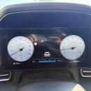 제주퍼시픽 이미지