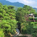 새동천약국 이미지