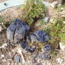 인선농장 이미지