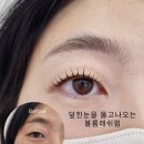 채우다뷰티 / 유성속눈썹펌 /봉명동속눈썹펌