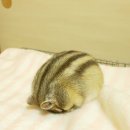 구일농장 이미지