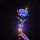 예술이야 | 2025 살구꽃피는 행주, 고양시 축제 &#39;행주가 예술이야&#39; 직접 다녀온 후기