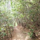 바위섬마트 | 전북 군산여행 선유도 장자도 가볼만한곳 대장봉 오르는 길 소요시간 코스 추천