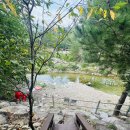 소금강냇물소리펜션 | 강릉 소금강 계곡 소금강냇물소리펜션 물놀이 하기 좋은 펜션