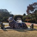 호돌어린이공원 이미지