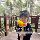 아이와 경주 여행 필수 코스, 새와 직접 교감하는 '경주 버드파크' 솔직 후기